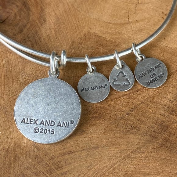 ALEX & ANI Friend Bracelet Energy Charm Bangle Set, Rafaelian Gold and Silver - Picture 9 of 9